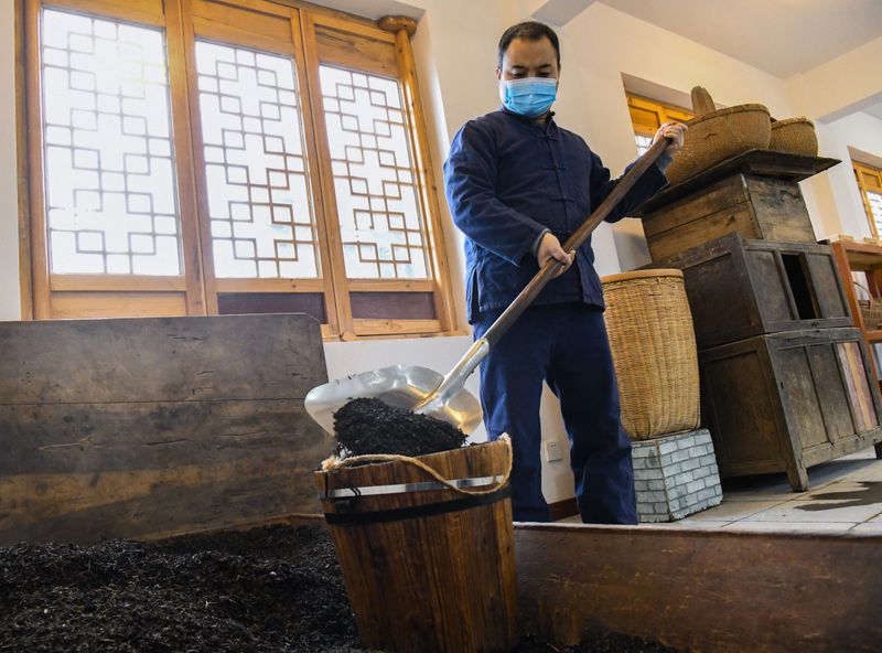 有关于“丝路黑金”咸阳茯茶诞生记的相关信息