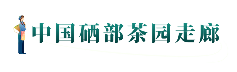 有关于达州：巴山渠水出好茶的最新消息(30)