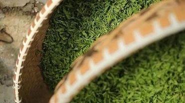 有关于达州：巴山渠水出好茶的最新消息(11)