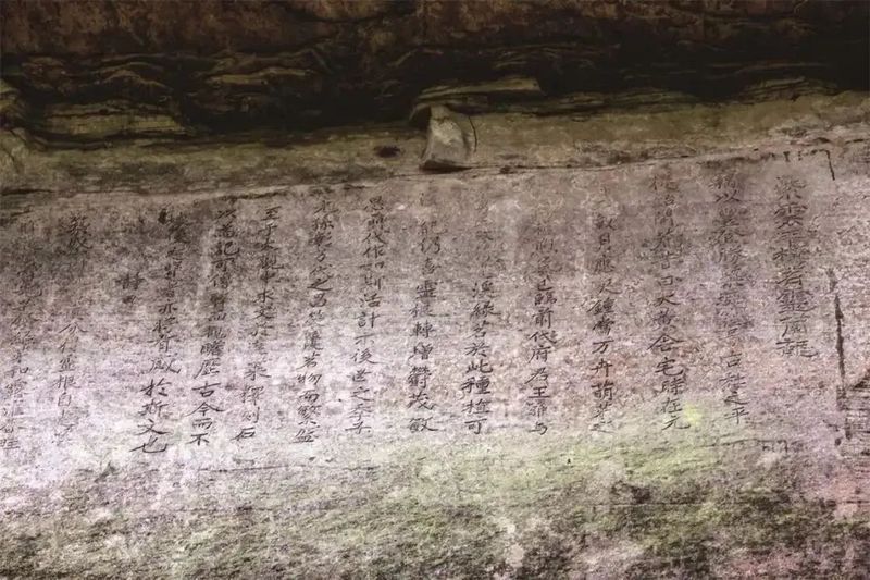 有关于达州：巴山渠水出好茶的最新消息(3)
