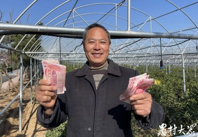 关于莒南县：支部领办引“活”2000亩老茶园，村民收入逐步高的内容(3)