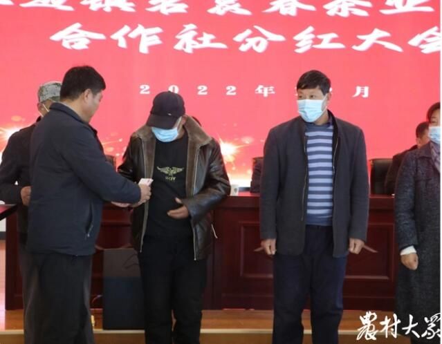关于莒南县：支部领办引“活”2000亩老茶园，村民收入逐步高的内容(2)