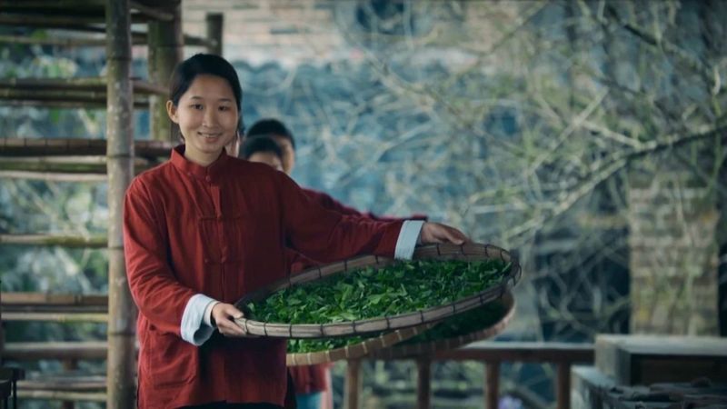 关于六堡茶制作技艺、瑶族油茶列入联合国非遗名录的内容(3)