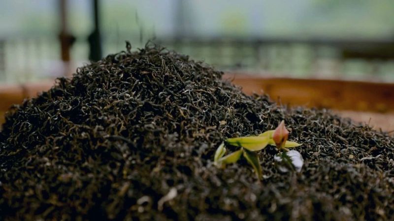 关于六堡茶制作技艺、瑶族油茶列入联合国非遗名录的内容(1)