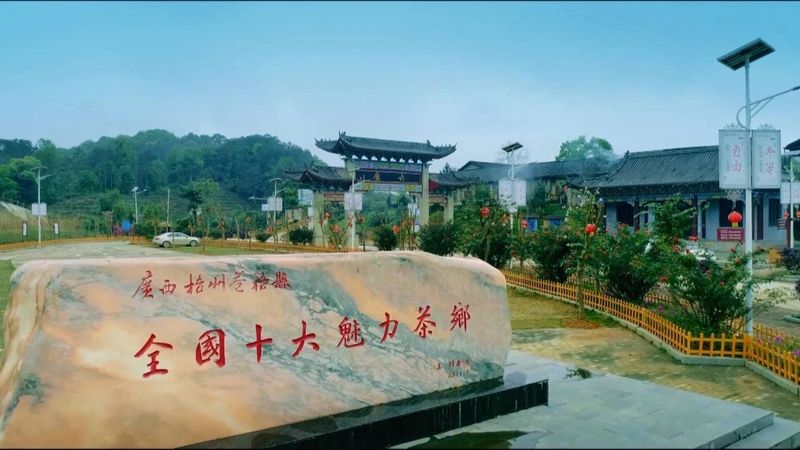 关于六堡茶制作技艺、瑶族油茶列入联合国非遗名录的内容