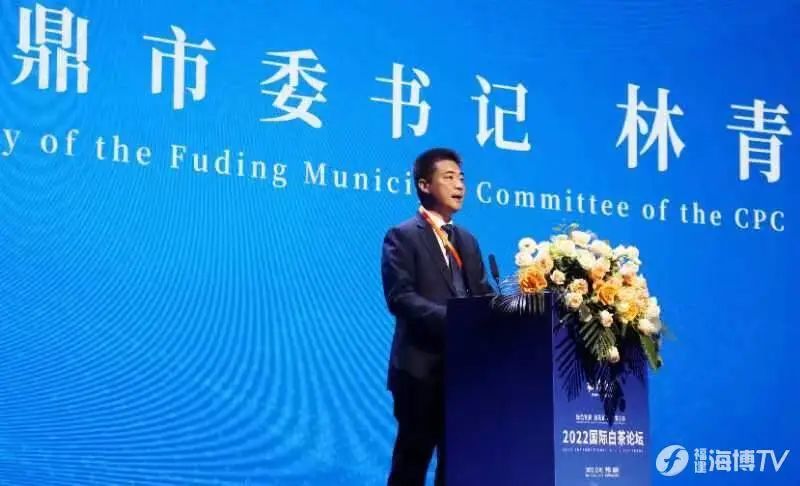 有关于福鼎：以茶为媒 让中国白茶走向世界的内容(1)