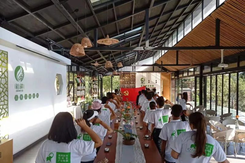 关于普洱茶咖：红色党建廉政建设为茶咖产业发展保驾护航的最新消息(6)