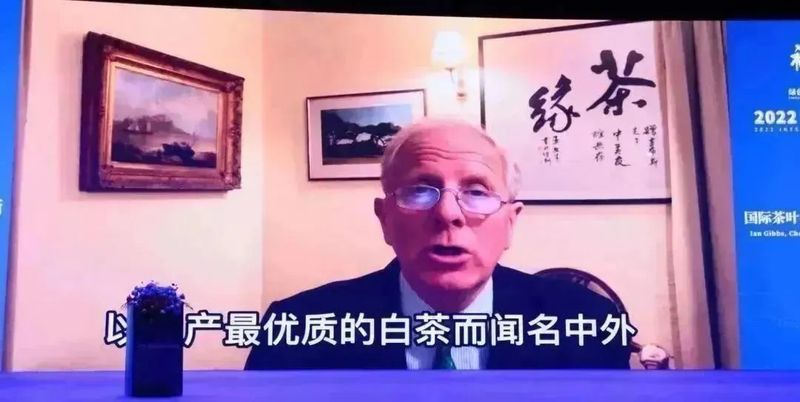 有关于福鼎白茶开启国际化发展征程！的信息(6)