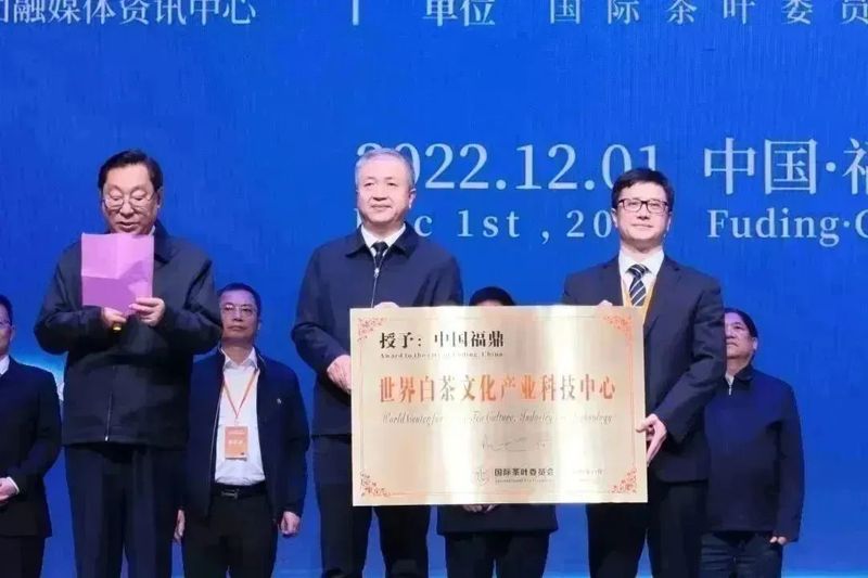 有关于福鼎白茶开启国际化发展征程！的信息(10)