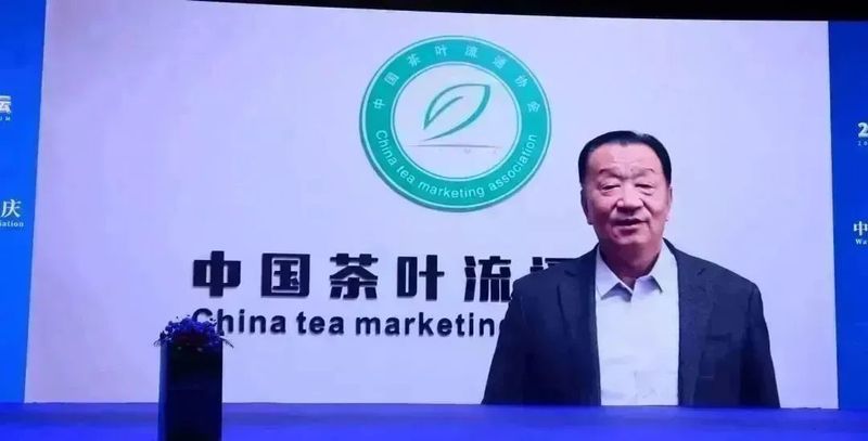 有关于福鼎白茶开启国际化发展征程！的信息(8)