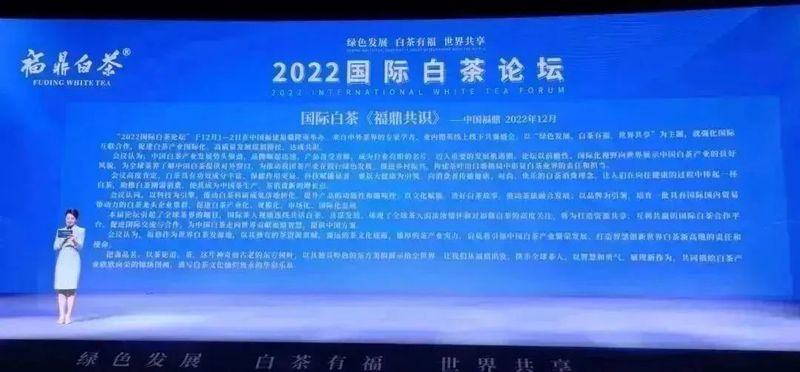 有关于福鼎白茶开启国际化发展征程！的信息(13)