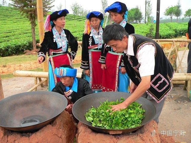 关于探秘世界“非遗”——宁洱普洱茶(贡茶)制作技艺前世今生的相关内容(3)