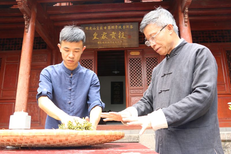 关于探秘世界“非遗”——宁洱普洱茶(贡茶)制作技艺前世今生的相关内容(6)