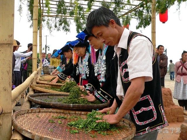 关于探秘世界“非遗”——宁洱普洱茶(贡茶)制作技艺前世今生的相关内容(4)