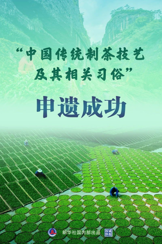 关于探秘世界“非遗”——宁洱普洱茶(贡茶)制作技艺前世今生的相关内容(1)