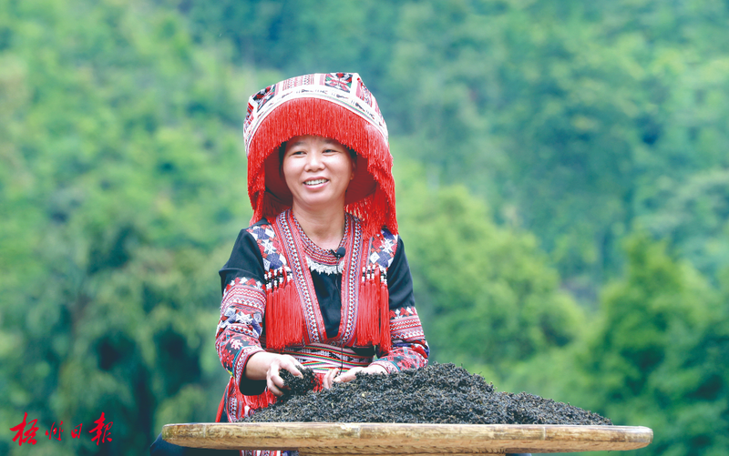 有关于聚焦六堡茶高质量发展,品质品牌建设“两手抓双提升”的最新消息(1)