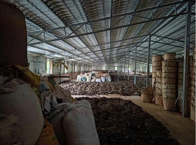 有关于广西：自动化茶厂里的非遗茶香的信息