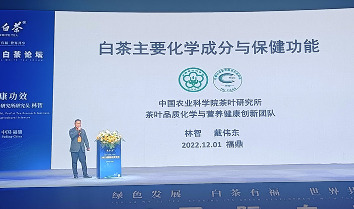 关于绿色发展 白茶有福 世界共享 2022国际白茶论坛在福鼎举办的内容(12)