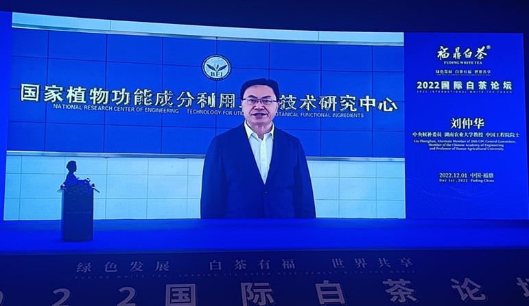 关于绿色发展 白茶有福 世界共享 2022国际白茶论坛在福鼎举办的内容(6)