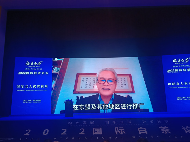 关于绿色发展 白茶有福 世界共享 2022国际白茶论坛在福鼎举办的内容(8)