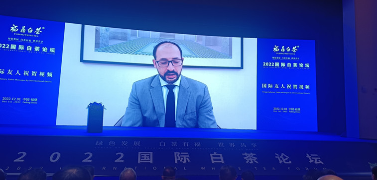关于绿色发展 白茶有福 世界共享 2022国际白茶论坛在福鼎举办的内容(5)