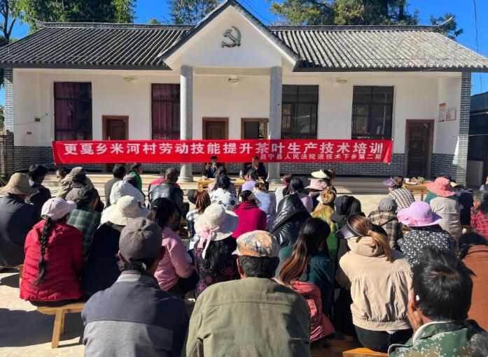 有关于昌宁法院送“技”下乡，助力米河村“茶”增产的资讯