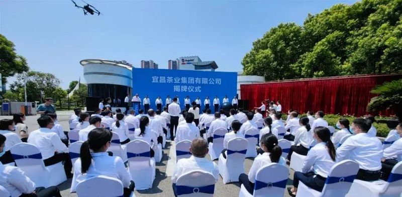 关于宜昌茶业百亿级“航母”加速启航，宜茶集团控股采花、宜红两茶企的相关信息(3)