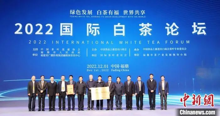 有关于聚话茶业未来！这场国际白茶论坛带来了哪些精彩？的最新消息