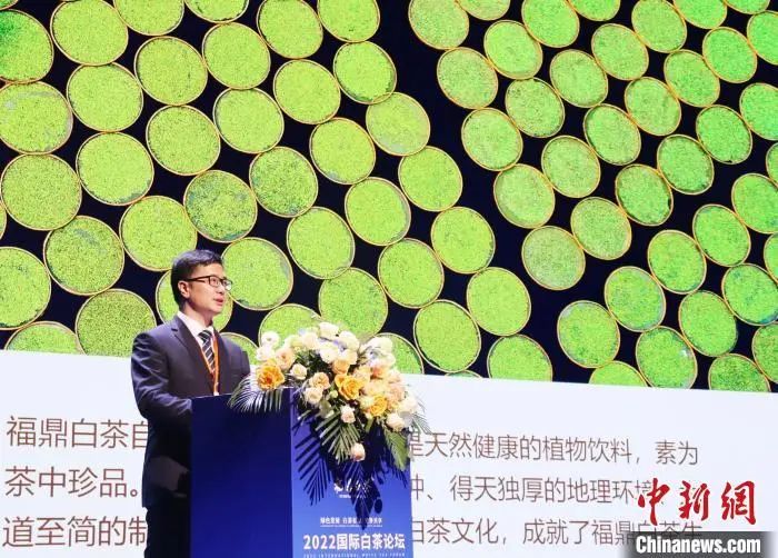 有关于聚话茶业未来！这场国际白茶论坛带来了哪些精彩？的最新消息(3)