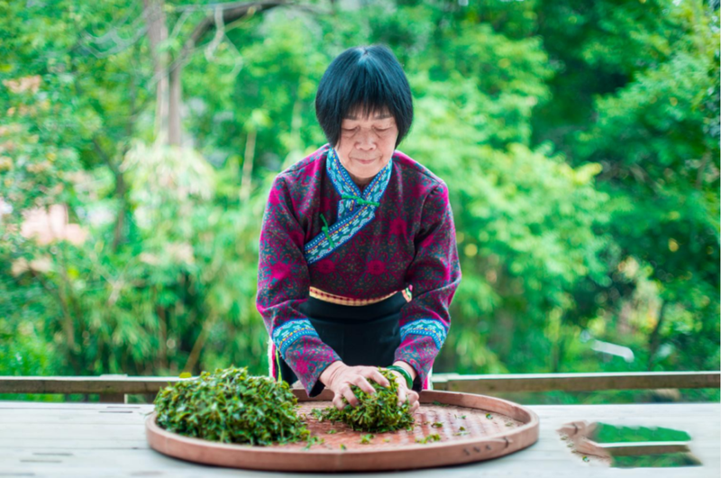 关于六堡茶制作技艺成为梧州市首个人类非物质文化遗产代表作名录项目的资讯