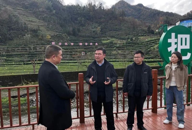 关于安康市农业农村局调研指导茶产业发展工作的新闻(1)