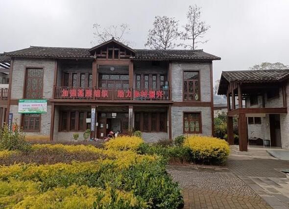 关于普安县联盟村:早作“茶文章” 好念“致富经”的消息(2)