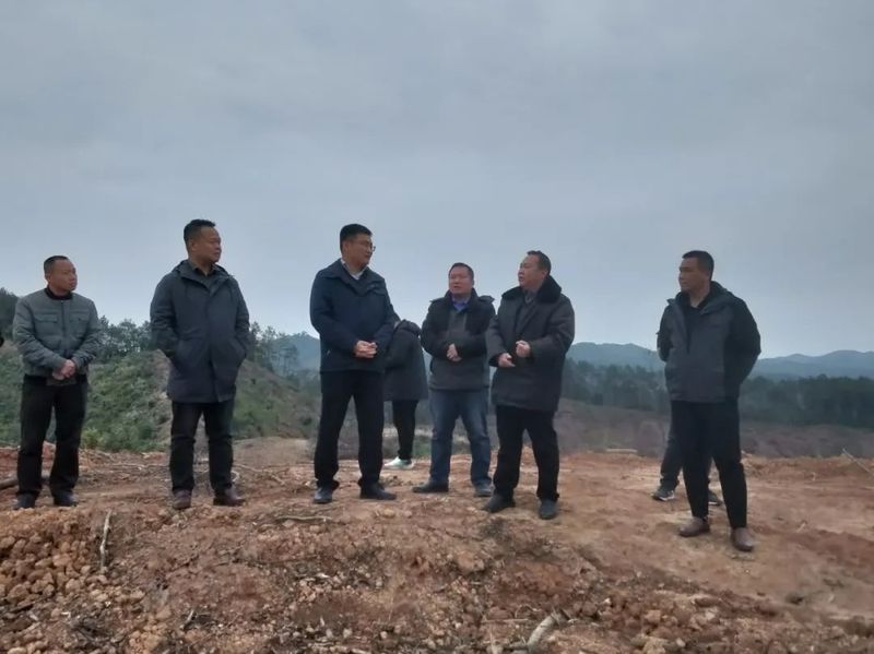 关于马士成到木双镇黎璧村万亩标准化茶园开展调研指导的资讯