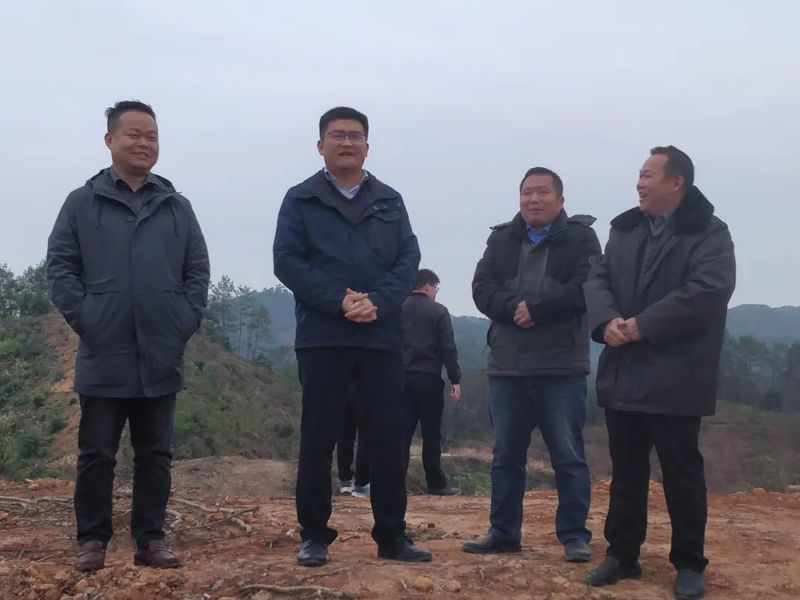 关于马士成到木双镇黎璧村万亩标准化茶园开展调研指导的资讯(1)