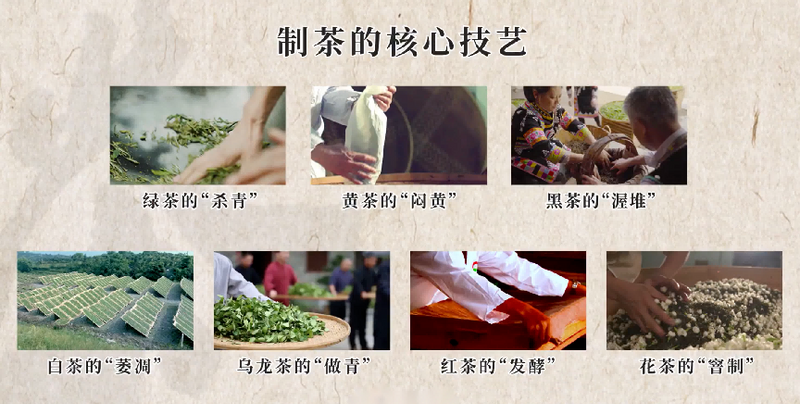 关于 “中国传统制茶技艺及其相关习俗”参加申遗的国家级非遗代表性项目有哪些?的最新消息(1)