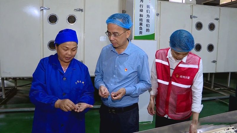 有关于金牌计量团队助力小叶子升级大产业的信息(3)