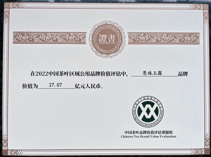 关于湖北唯一！恩施市成为2022茶叶品牌建设示范县域！的内容(5)