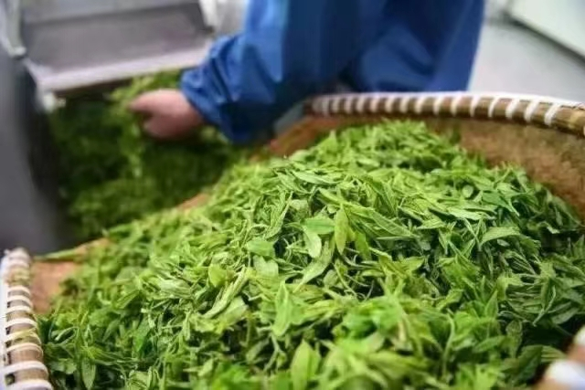 关于高校助力乡村振兴,浙江传媒学院:文旅赋能引领少数民族村“破圈出道”的相关内容(1)