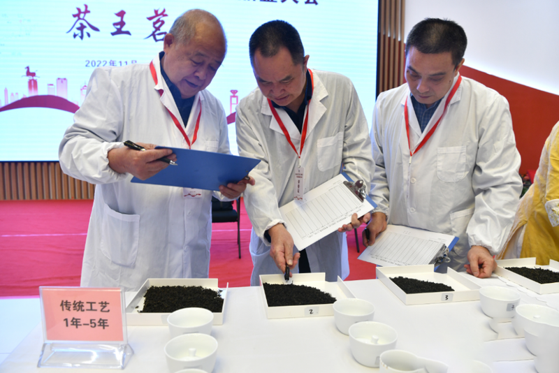 有关于梧州加大茶主题活动力度，为六堡茶产业发展注入新活力的资讯(1)