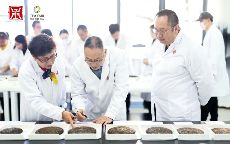 有关于“中茶杯”鼎承茶王赛秋季赛榜单揭晓的相关信息(1)