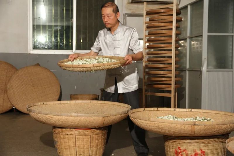 关于恭贺福州茉莉花茶窨制工艺成功入选世界非遗的内容(14)
