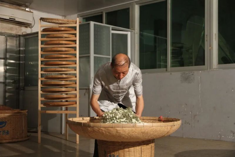 关于恭贺福州茉莉花茶窨制工艺成功入选世界非遗的内容(12)