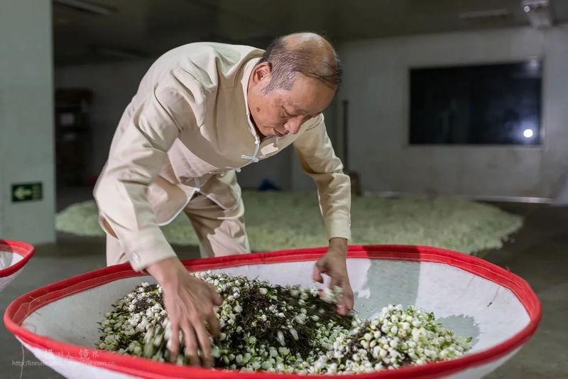 关于恭贺福州茉莉花茶窨制工艺成功入选世界非遗的内容(16)