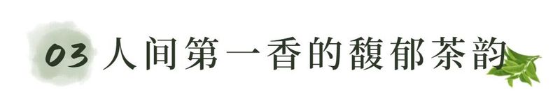 关于恭贺福州茉莉花茶窨制工艺成功入选世界非遗的内容(17)