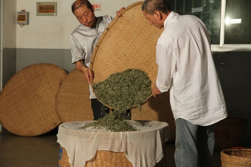关于恭贺福州茉莉花茶窨制工艺成功入选世界非遗的内容(15)