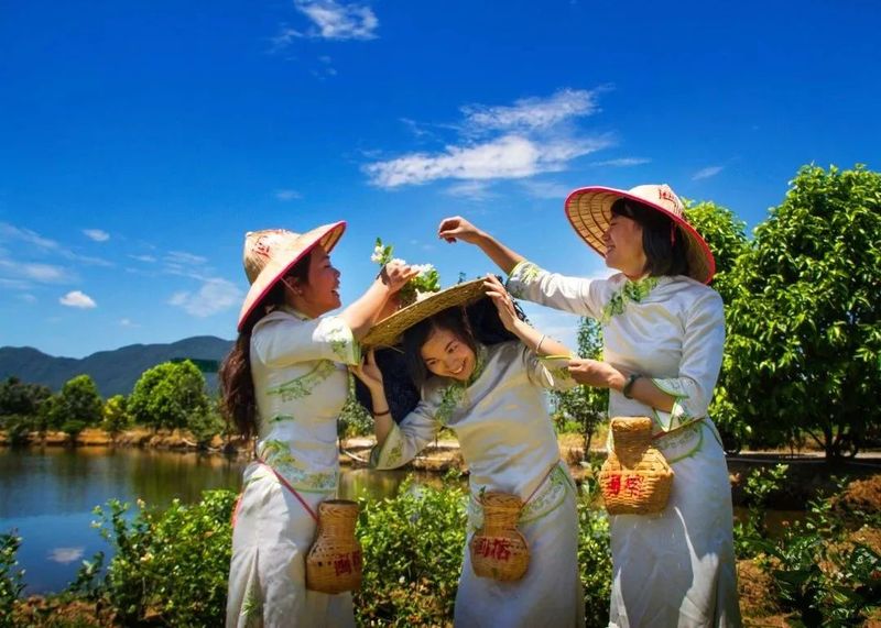 关于恭贺福州茉莉花茶窨制工艺成功入选世界非遗的内容(5)