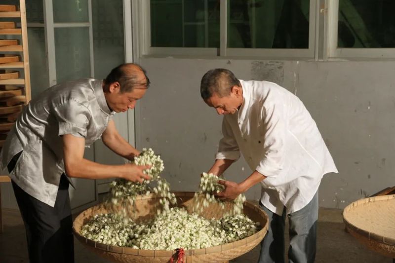 关于恭贺福州茉莉花茶窨制工艺成功入选世界非遗的内容(13)