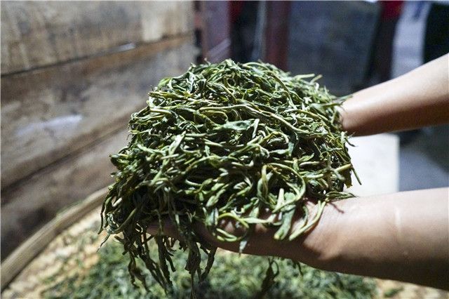 关于“陈年茶市场发展”“茶和天下 共享非遗”“三茶统筹发展高峰论坛”的最新消息(1)
