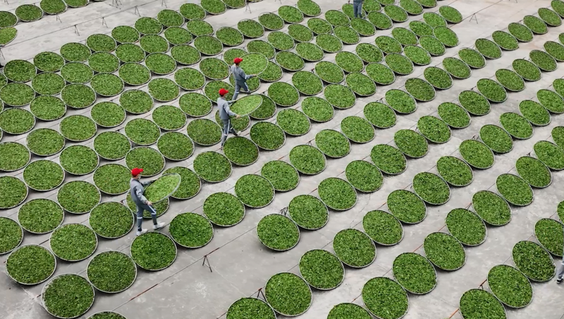 关于一周速读：习近平总书记妙论“中国茶”、武夷“论道”、茶行业迎来内卷时代的相关信息(6)