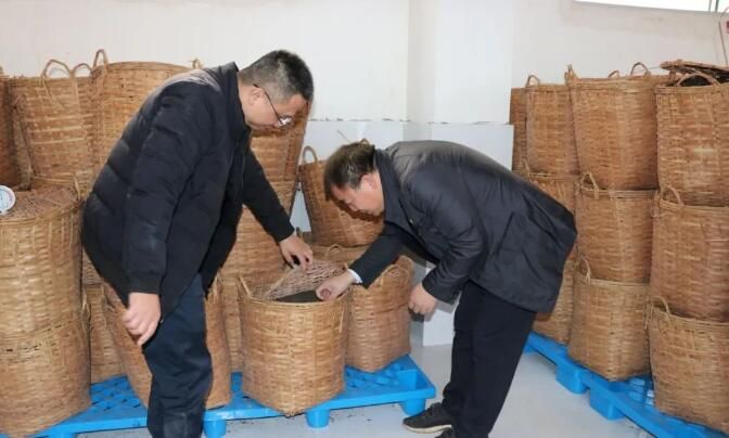 关于灵山县举办茶产业高质量发展能力提升培训班的相关信息(2)